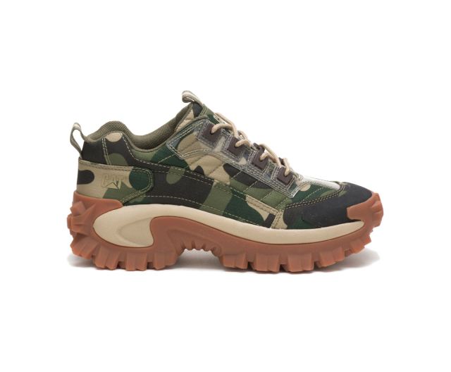 Cat - Intruder Shoe Camo - Click Image to Close