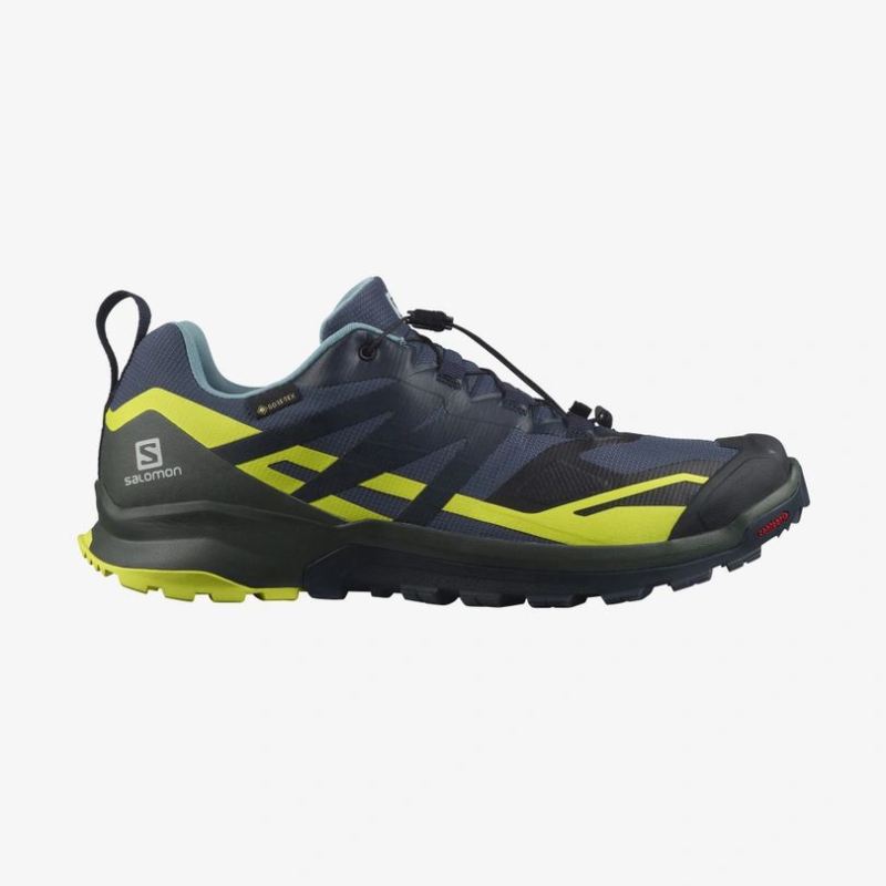 SALOMON MEN'S XA ROGG 2 GORE-TEX-Mood Indigo / Urban Chic / Evening Primrose