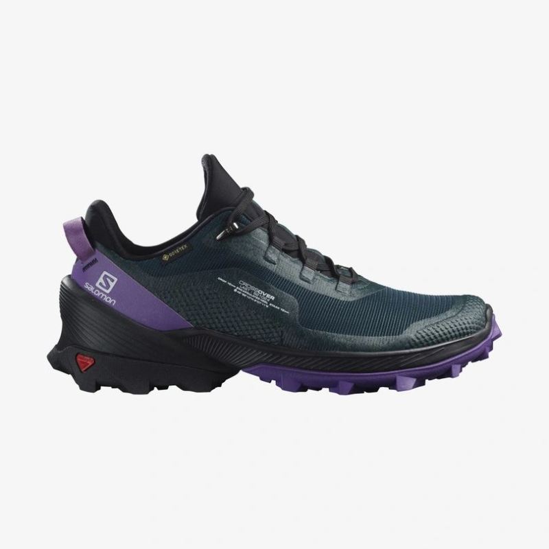 SALOMON WOMEN'S CROSS OVER GORE-TEX-Ponderosa Pine / Black / Royal Lilac - Click Image to Close