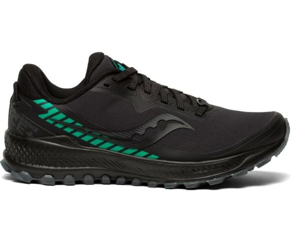 SAUCONY WOMEN'S PEREGRINE ICE+-Black Jade - Click Image to Close