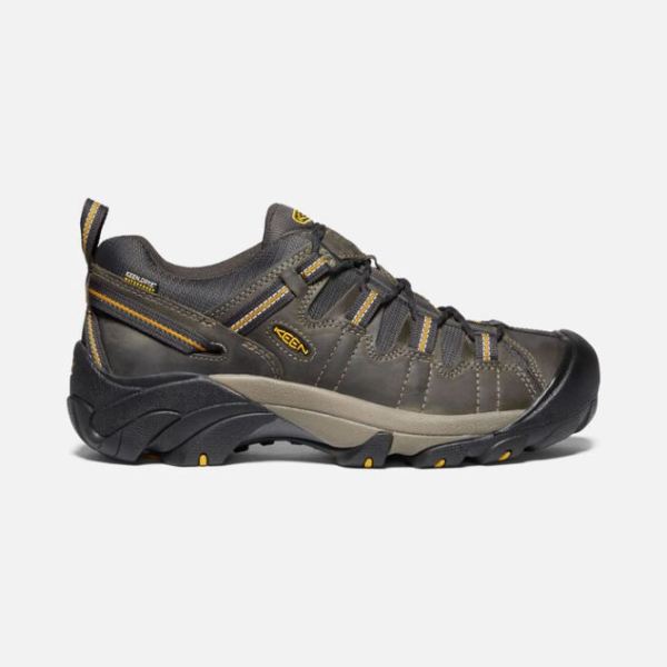 Keen Shoes | Men's Targhee II Waterproof-Raven/Tawny Olive