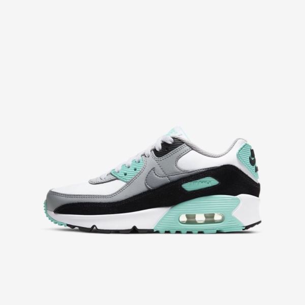 Kids Nike Air Max 90 LTR | White / Light Smoke Grey / Hyper Turquoise / Particle Grey