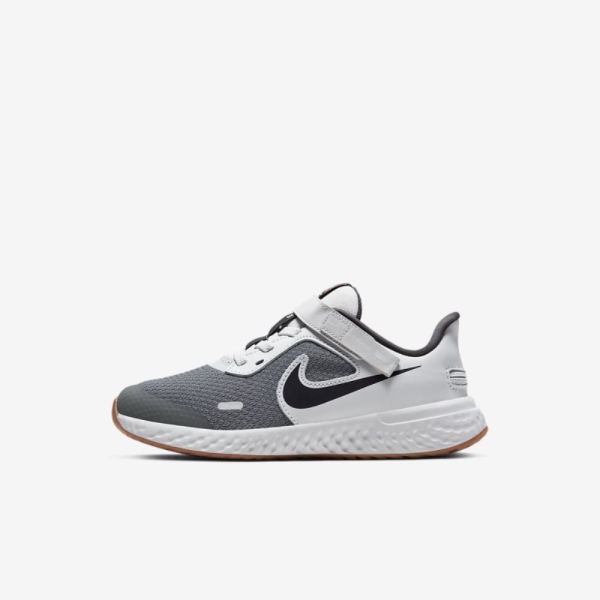 Kids Nike Revolution 5 FlyEase | Light Smoke Grey / Photon Dust / Gum Medium Brown / Dark Smoke Grey