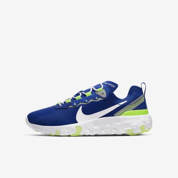 Kids Nike Renew Element 55 | Hyper Blue / Ghost Green / Light Smoke Grey / White