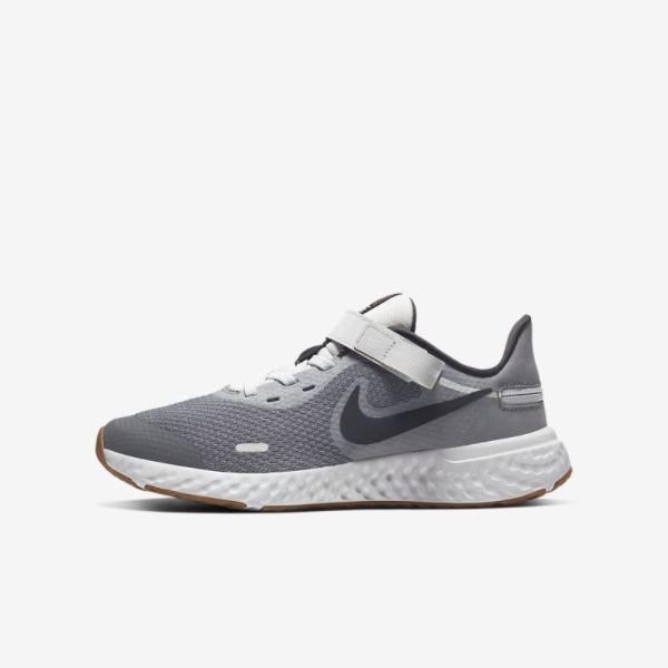 Kids Nike Revolution 5 FlyEase | Light Smoke Grey / Photon Dust / Gum Medium Brown / Dark Smoke Grey - Click Image to Close