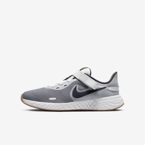 Kids Nike Revolution 5 FlyEase | Light Smoke Grey / Photon Dust / Gum Medium Brown / Dark Smoke Grey