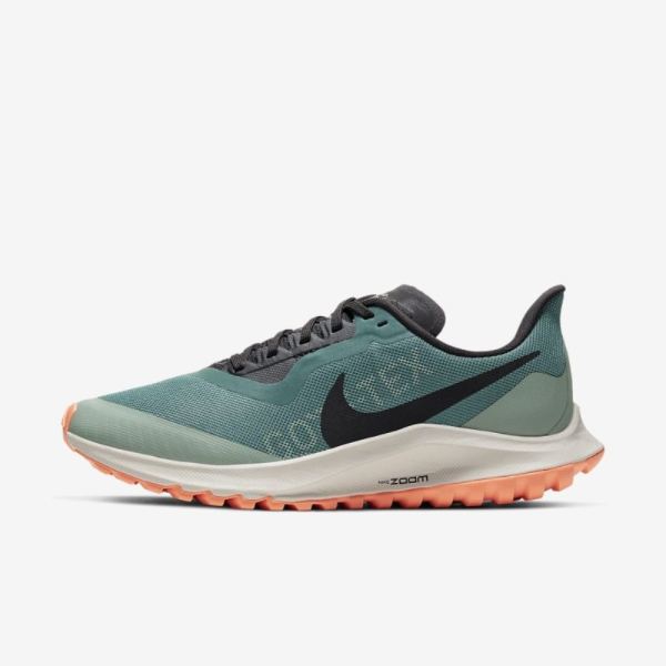 Nike Zoom Pegasus 36 Trail GORE-TEX | Bicoastal / Silver Pine / Light Bone / Off Noir - Click Image to Close